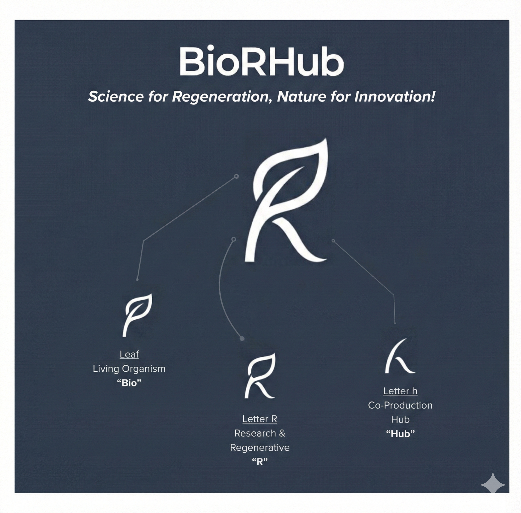 BioRHub Marka Hikayesi